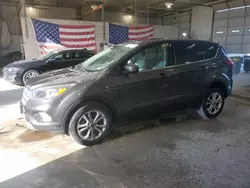 Salvage cars for sale at Columbia, MO auction: 2019 Ford Escape SE