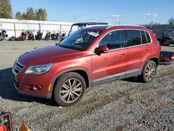 Salvage cars for sale at Arlington, WA auction: 2011 Volkswagen Tiguan S