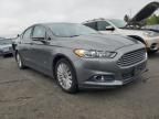 2013 Ford Fusion SE Phev