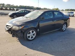 Toyota salvage cars for sale: 2011 Toyota Corolla Base