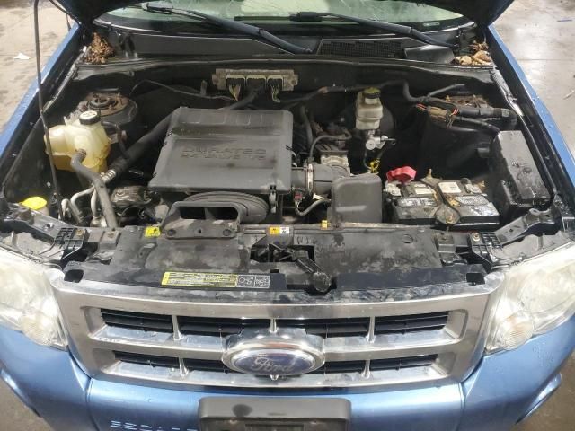 2009 Ford Escape XLT