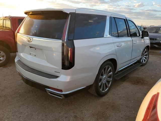 2021 Cadillac Escalade Premium Luxury Platinum