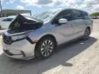 2022 Honda Odyssey EXL