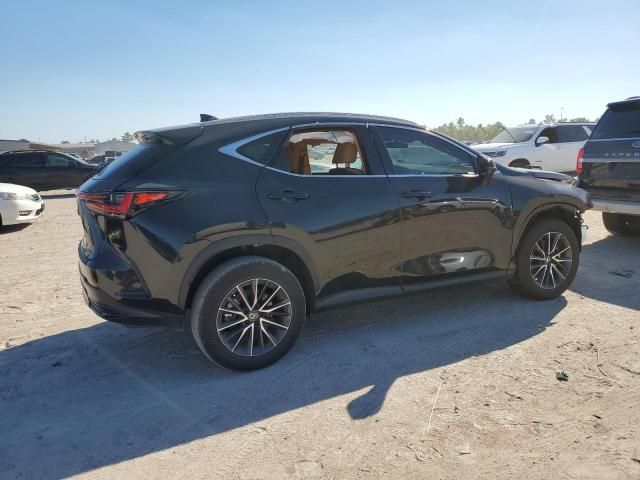 2024 Lexus NX 250 Base