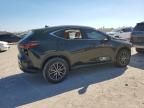 2024 Lexus NX 250 Base