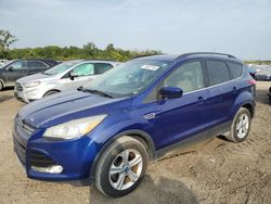 Ford salvage cars for sale: 2014 Ford Escape SE