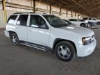 2009 Chevrolet Trailblazer LT