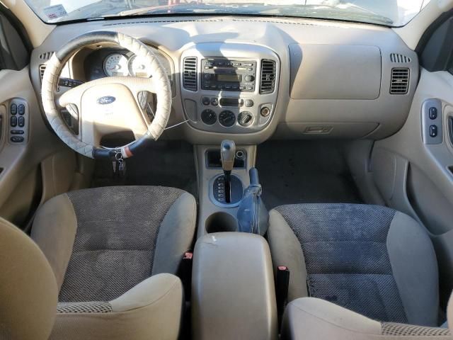 2005 Ford Escape XLT