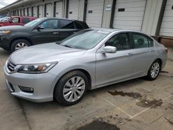 Honda salvage cars for sale: 2013 Honda Accord EX