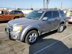 Ford salvage cars for sale: 2008 Ford Escape XLT