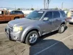 2008 Ford Escape XLT