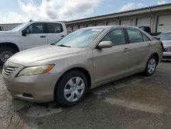 Salvage cars for sale at Louisville, KY auction: 2009 Toyota Camry Base