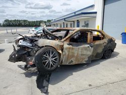 Salvage cars for sale at Lumberton, NC auction: 2024 Toyota Camry SE Night Shade