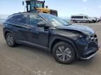 2024 Hyundai Tucson Blue