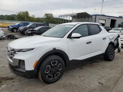 Hyundai Santa Cruz salvage cars for sale: 2024 Hyundai Santa Cruz SE