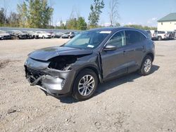 Ford salvage cars for sale: 2021 Ford Escape SE