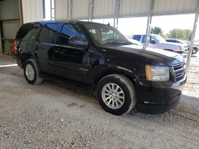 2013 Chevrolet Tahoe Hybrid