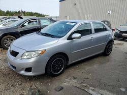 Toyota salvage cars for sale: 2010 Toyota Corolla Base