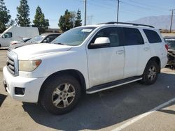 Toyota salvage cars for sale: 2010 Toyota Sequoia SR5