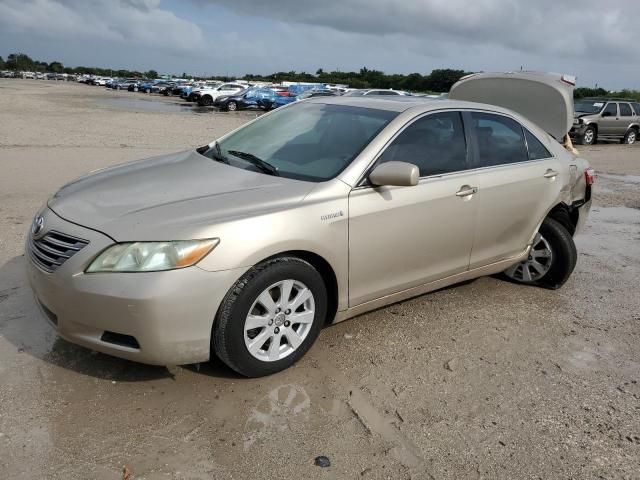 2008 Toyota Camry Hybrid