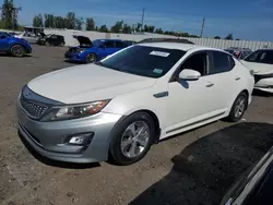 Salvage cars for sale at Portland, OR auction: 2016 KIA Optima Hybrid