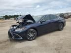 2024 Lexus ES 300H Base