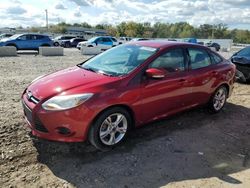 2014 Ford Focus SE en venta en Louisville, KY