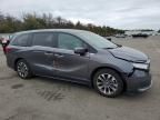 2023 Honda Odyssey EXL