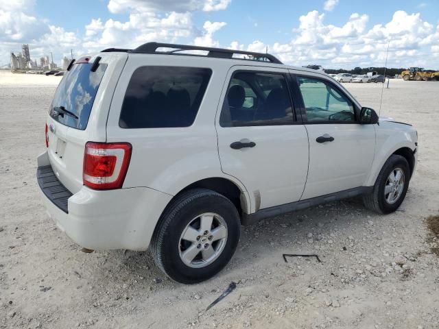 2010 Ford Escape XLT