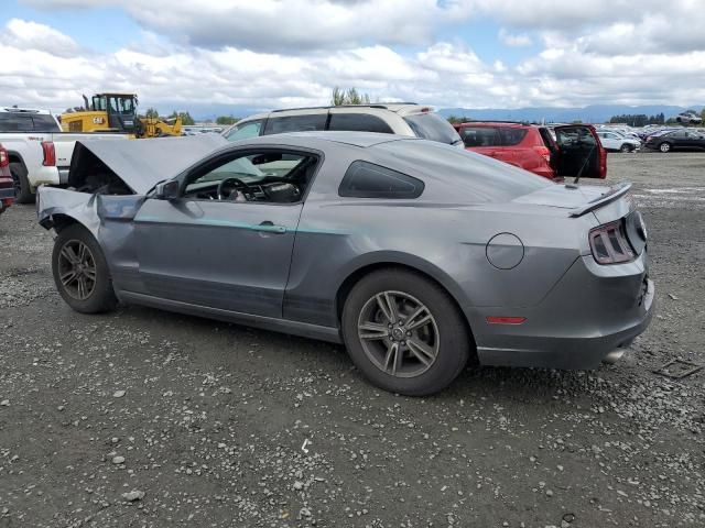 2013 Ford Mustang