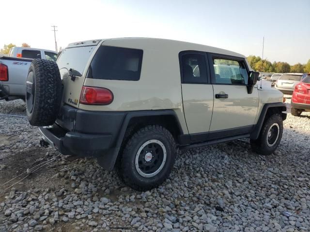 2010 Toyota FJ Cruiser