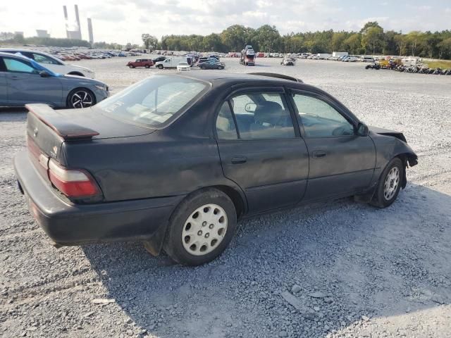 1996 Toyota Corolla DX