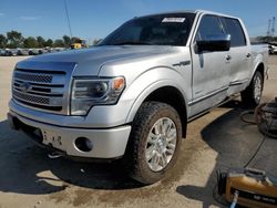 Salvage Cars with No Bids Yet For Sale at auction: 2013 Ford F150 Supercrew