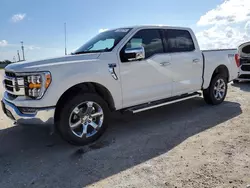 Salvage cars for sale at Arcadia, FL auction: 2023 Ford F150 Supercrew