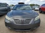 2009 Toyota Camry Hybrid