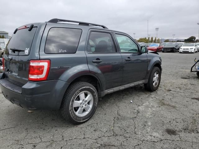 2009 Ford Escape XLT