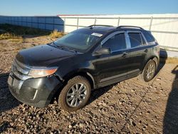 Salvage cars for sale from Copart Rapid City, SD: 2013 Ford Edge Limited