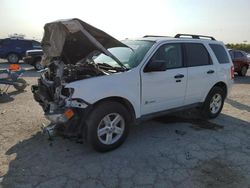 Salvage cars for sale at Indianapolis, IN auction: 2012 Ford Escape Hybrid