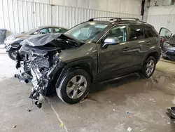 Toyota salvage cars for sale: 2023 Toyota Rav4 XLE