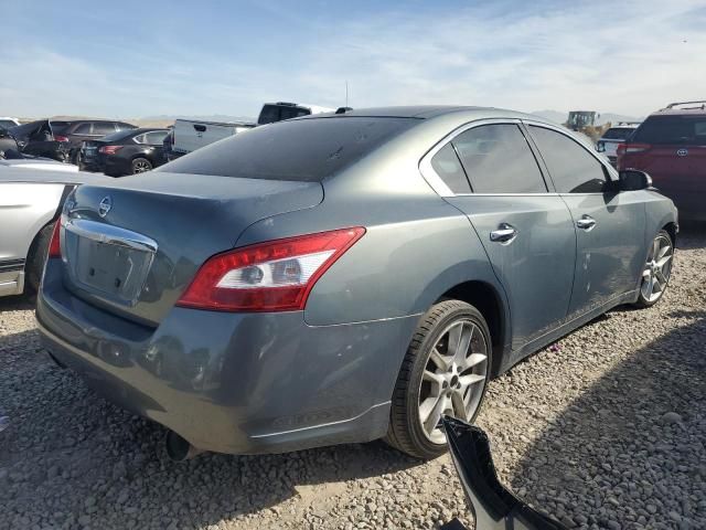 2010 Nissan Maxima S