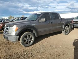 Vehiculos salvage en venta de Copart Rocky View County, AB: 2013 Ford F150 Supercrew