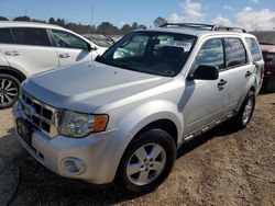 Ford salvage cars for sale: 2009 Ford Escape XLT