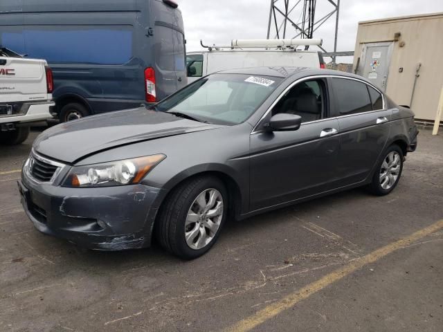 2010 Honda Accord EXL