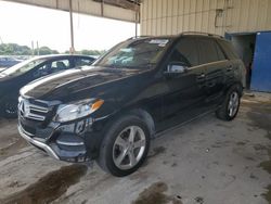 Salvage cars for sale at Homestead, FL auction: 2017 Mercedes-Benz GLE 350