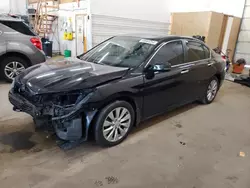 Salvage cars for sale at Ham Lake, MN auction: 2013 Honda Accord EX