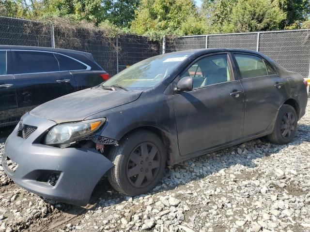 2010 Toyota Corolla Base