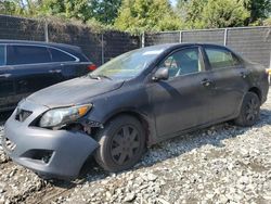 Toyota salvage cars for sale: 2010 Toyota Corolla Base