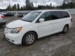 Honda Odyssey exl salvage cars for sale: 2009 Honda Odyssey EXL