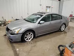 Nissan Vehiculos salvage en venta: 2007 Nissan Maxima SE