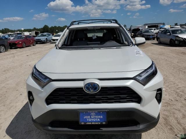 2024 Toyota Rav4 XLE Premium